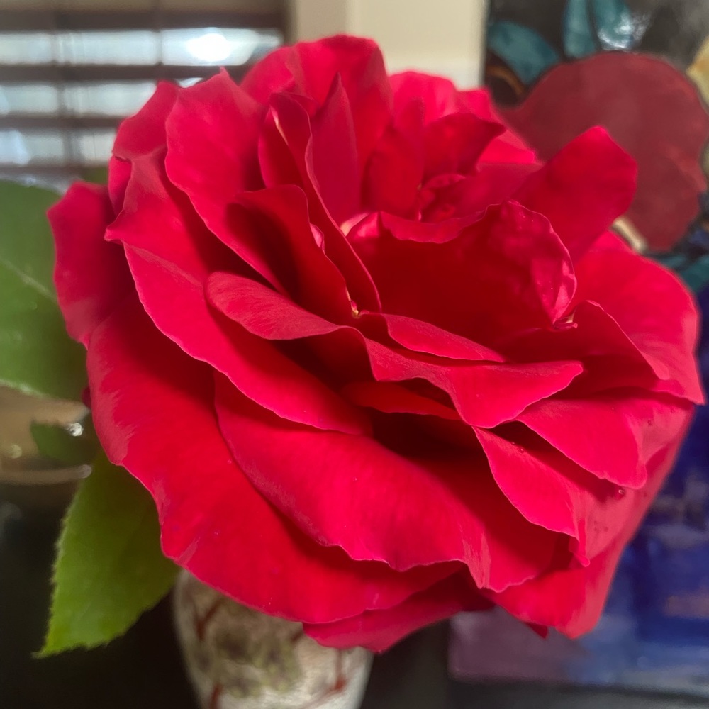 Meet Ambassador II Deborah 💟♥️💟 - Picture 15 of 17